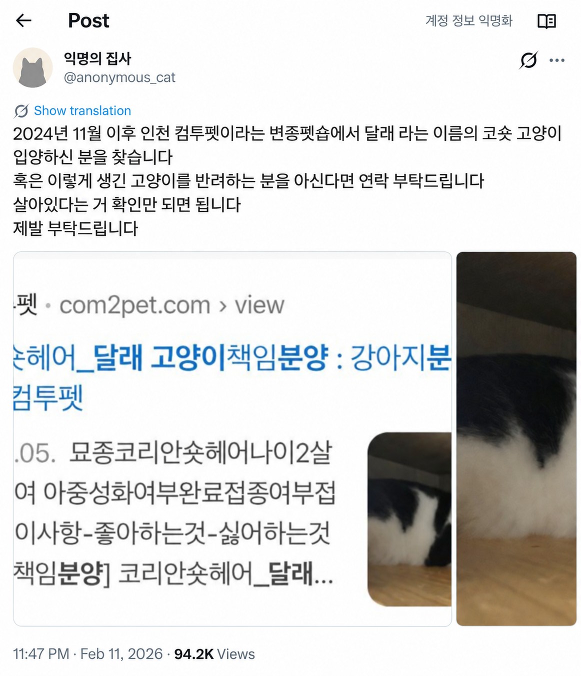 입양 간 고양이의 생사 확인을 부탁하는 게시글
