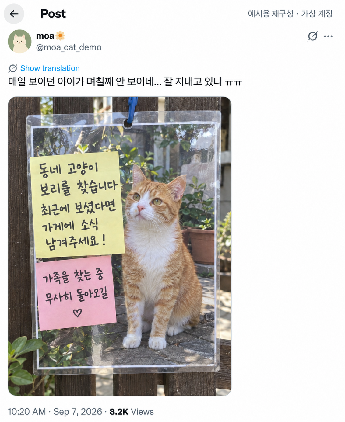 사라진 동네 고양이를 찾는 전단 사진 게시글